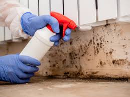 Best Indoor Air Quality Assessment  in Enterprise, AL